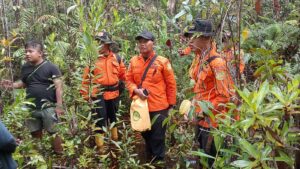 IMG-20250131-WA0039